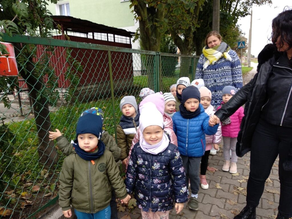 „Kotki” w bibliotece