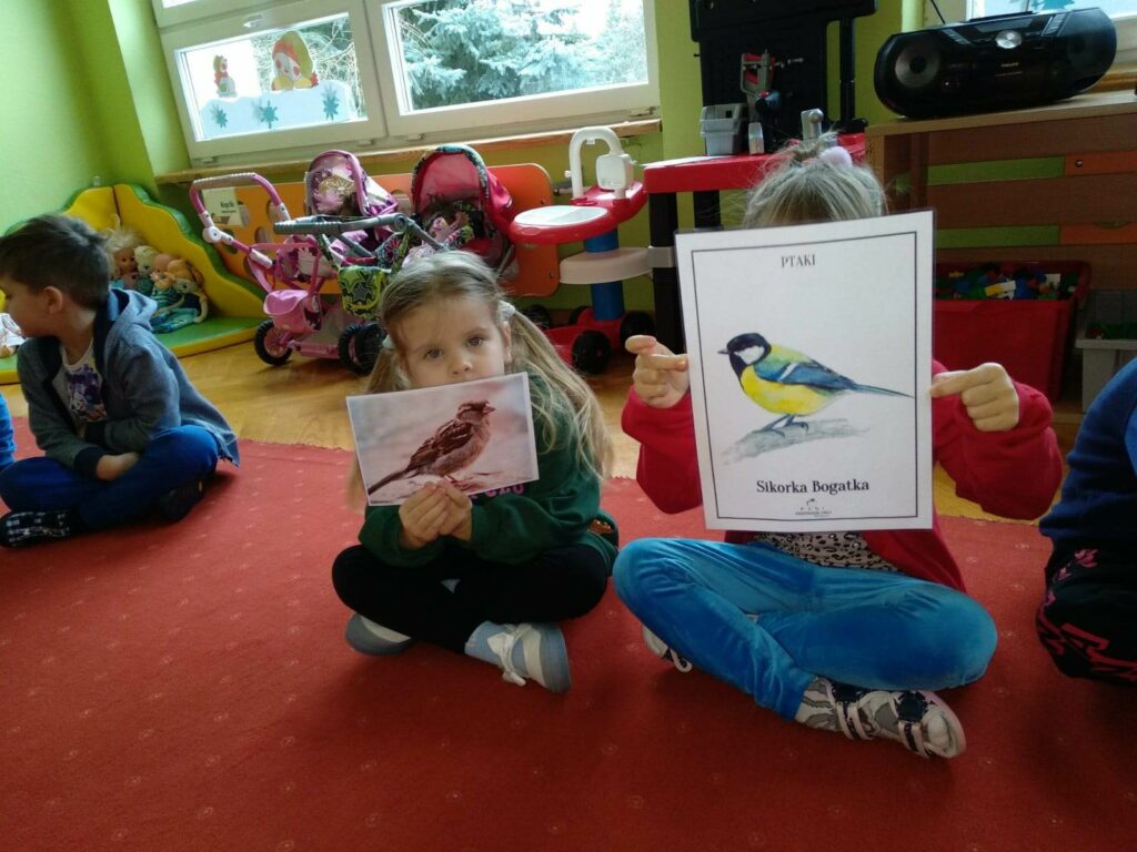 Głodny ptaszek – „Kotki”