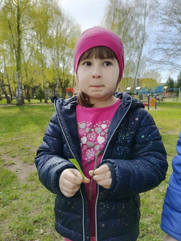 Czy drzewo może być mniejsze od psa?