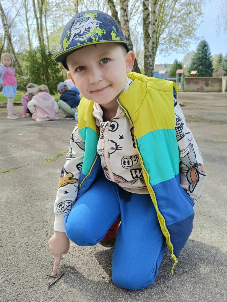 Czy drzewo może być mniejsze od psa?
