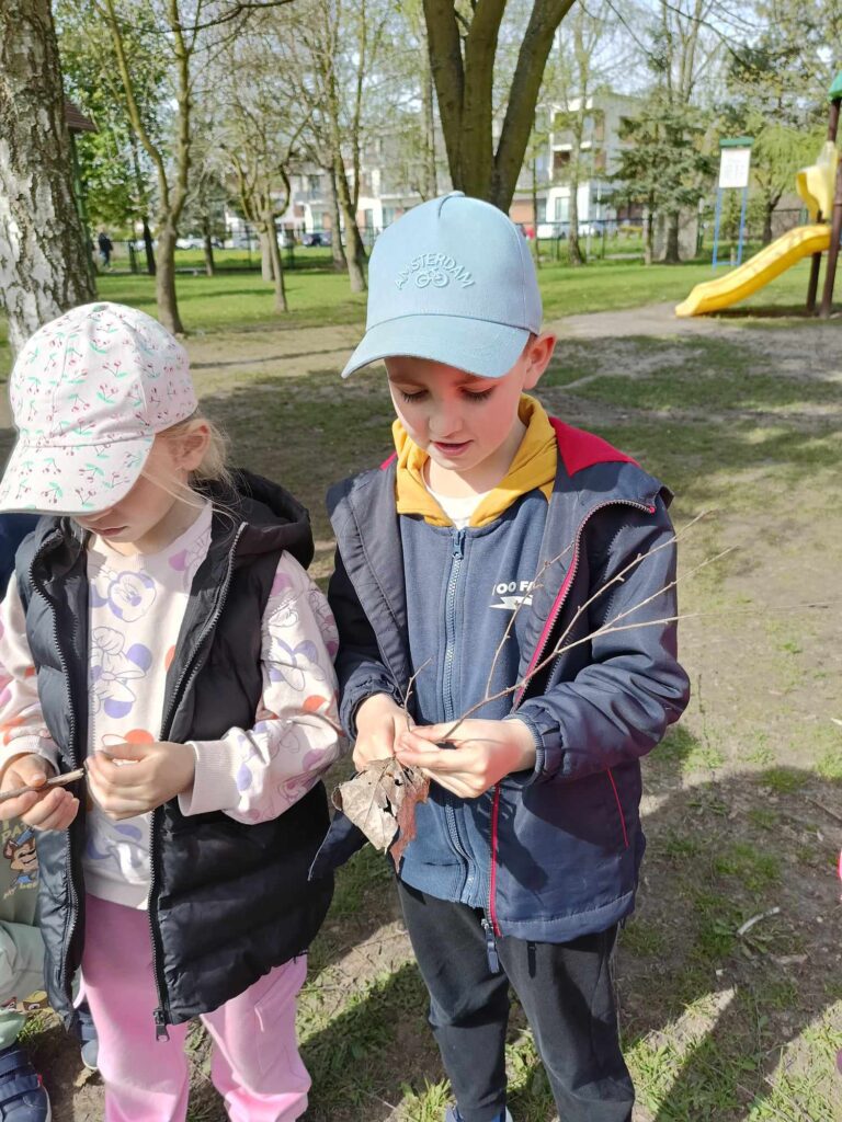 Czy drzewo może być mniejsze od psa?