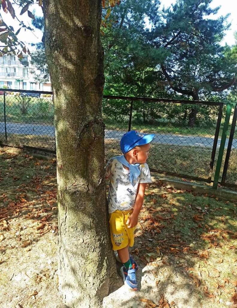 Przytul się do drzewa