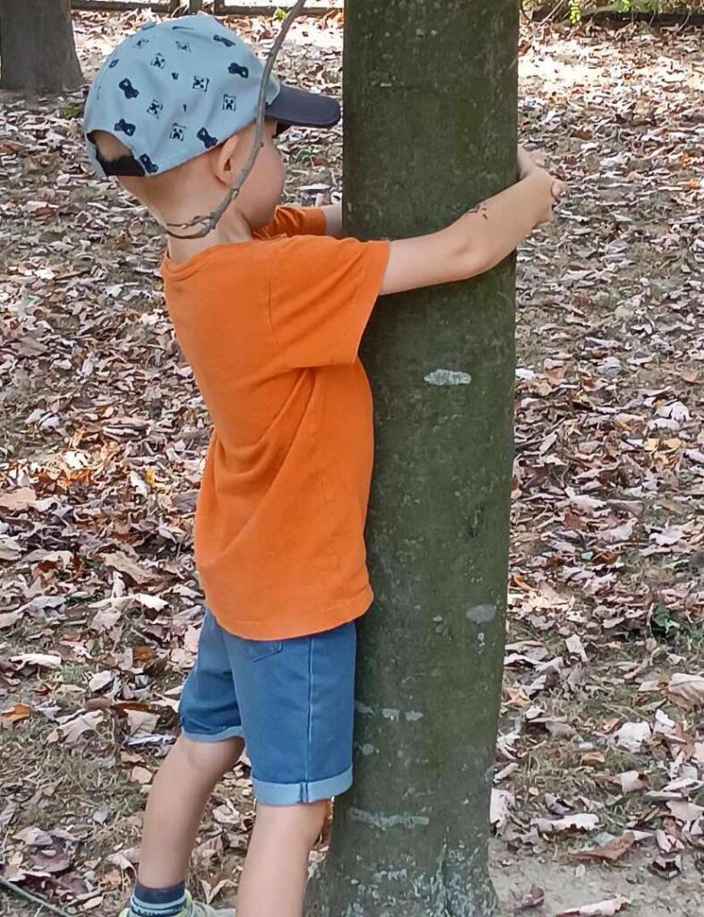 Przytul się do drzewa