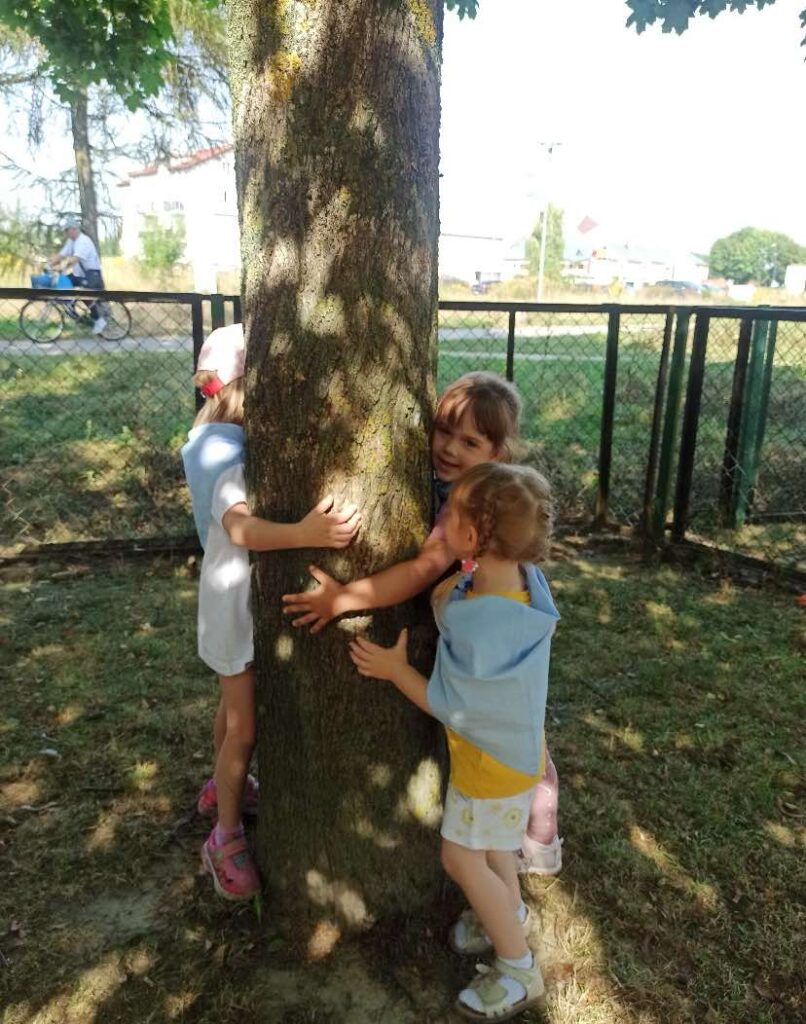 Przytul się do drzewa