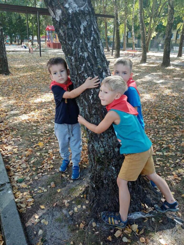 Przytul się do drzewa