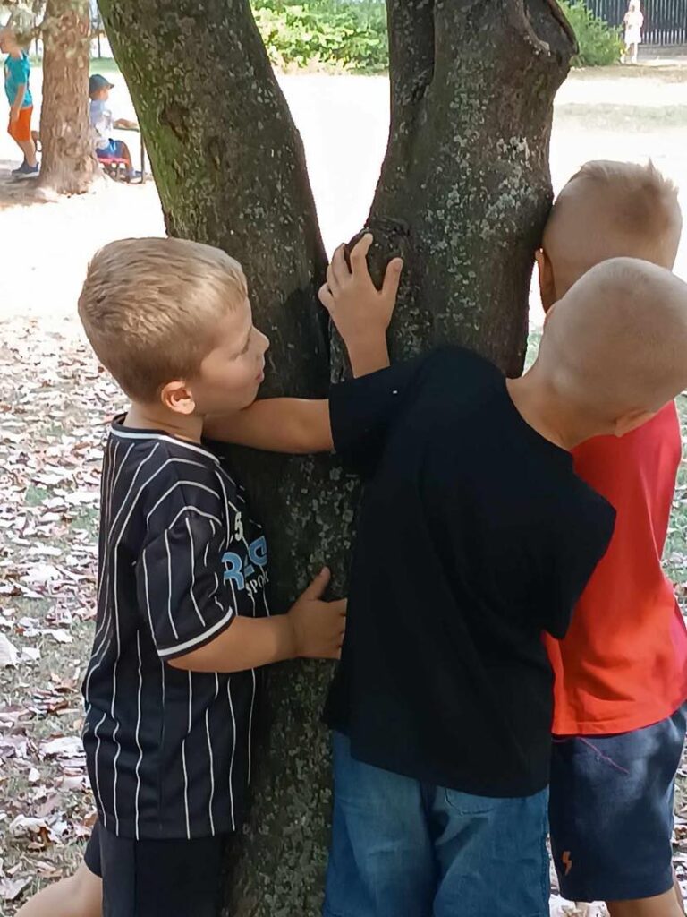 Przytul się do drzewa