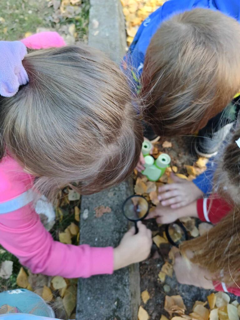Jesień u „Biedronek”