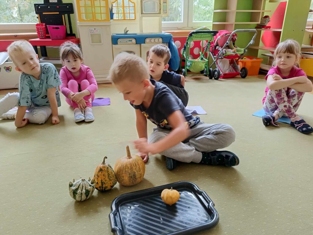 jesień u biedronek