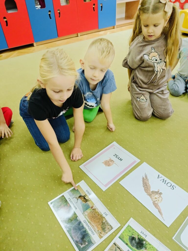 Jak zwierzęta przygotowują się do zimy? – „Biedronki”