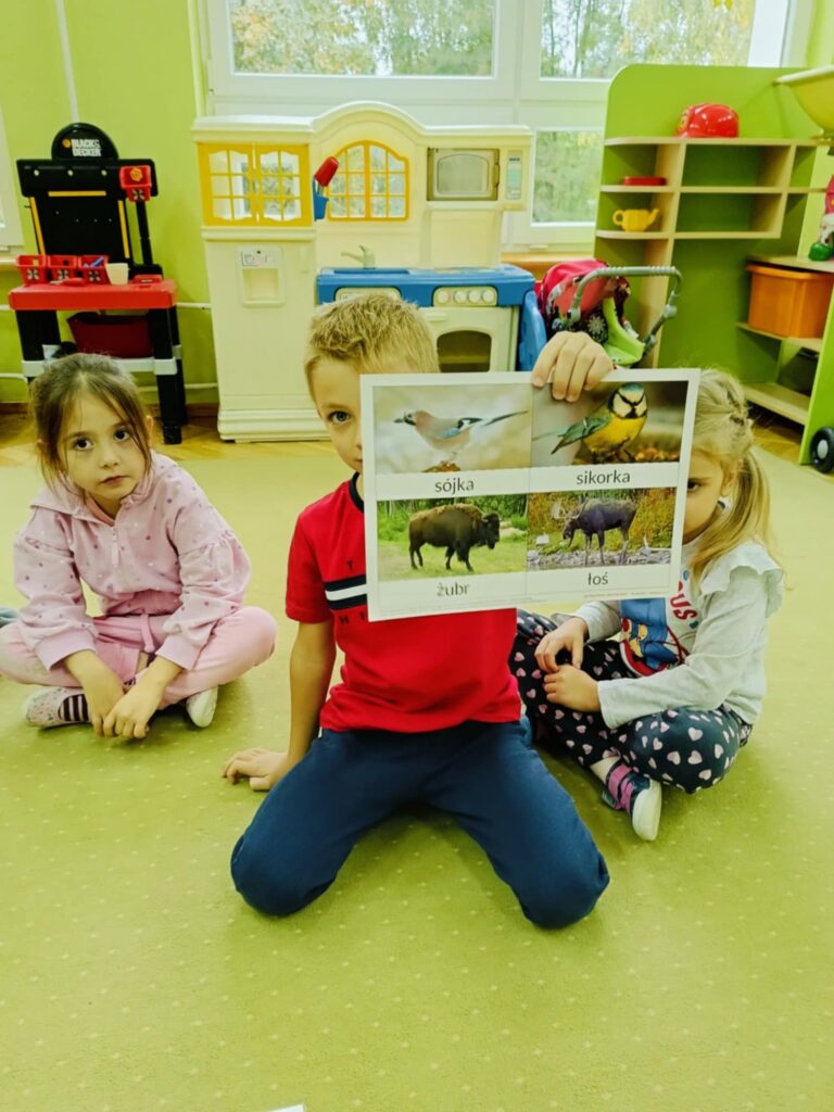 Jak zwierzęta przygotowują się do zimy? – „Biedronki”