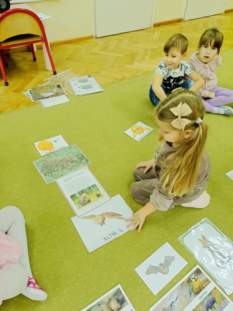 Jak zwierzęta przygotowują się do zimy? – „Biedronki”