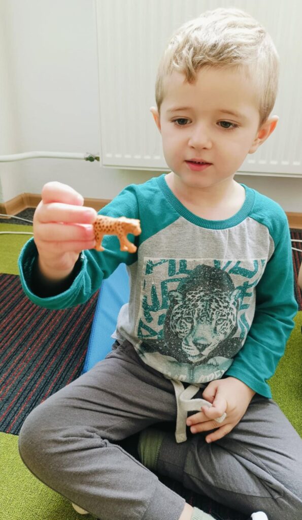 logopeda kolory i zwierzęta