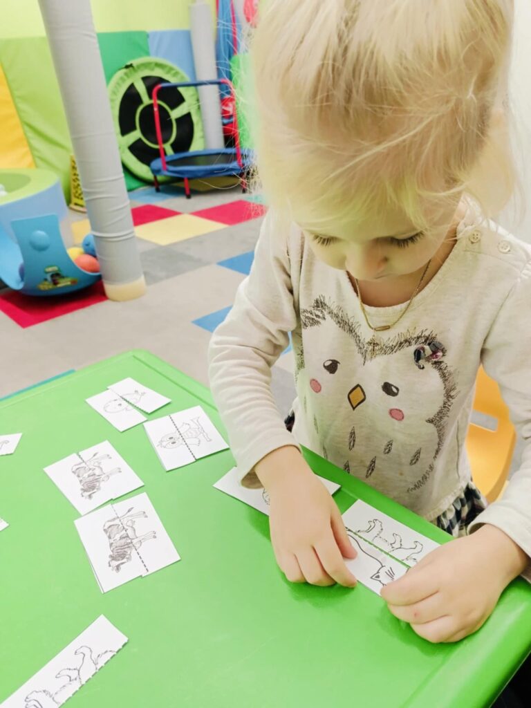 zwierzęta - rewalidacja