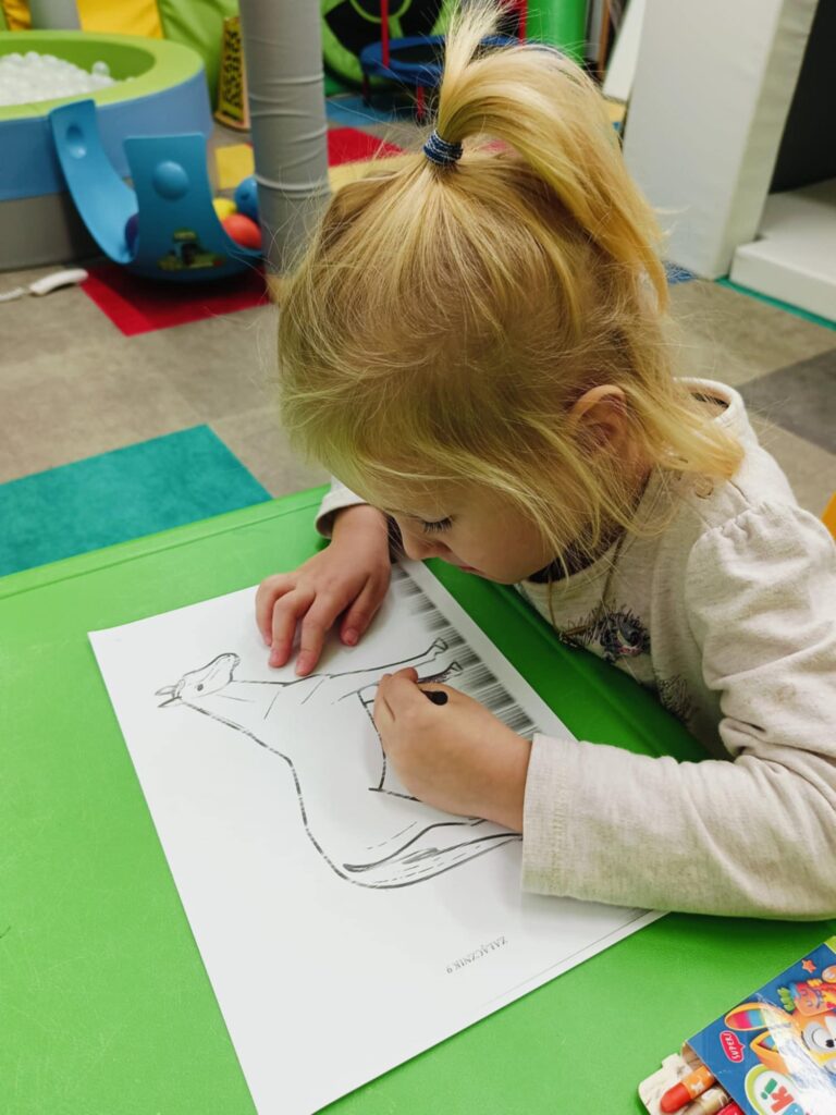 zwierzęta - rewalidacja