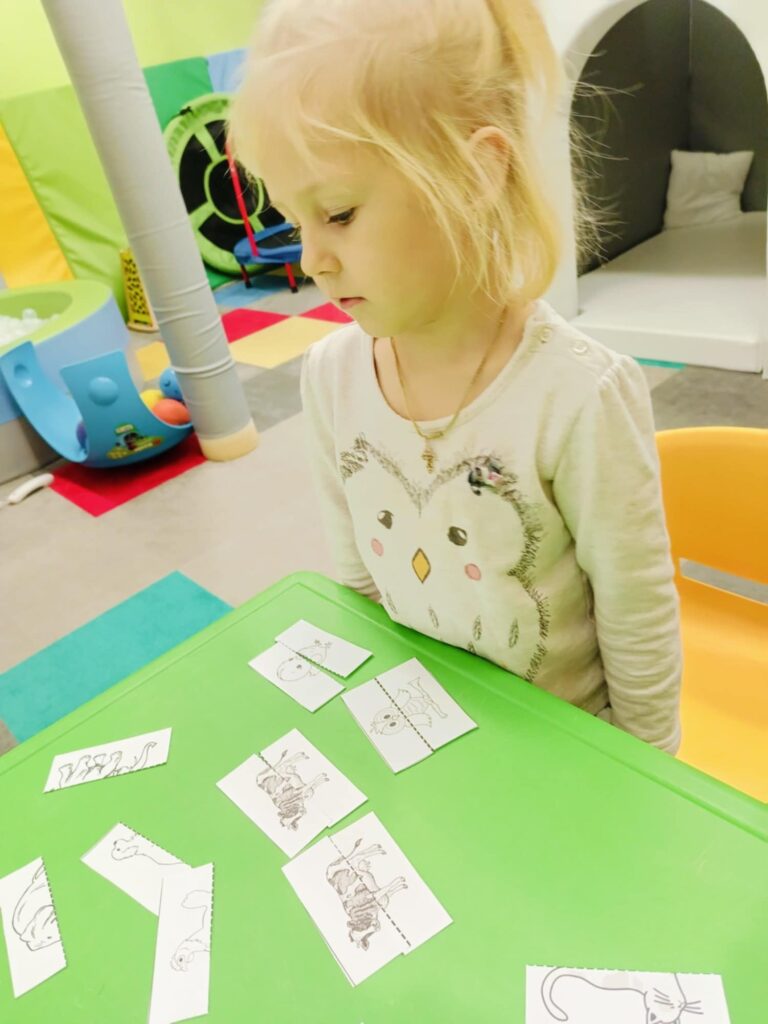 zwierzęta - rewalidacja