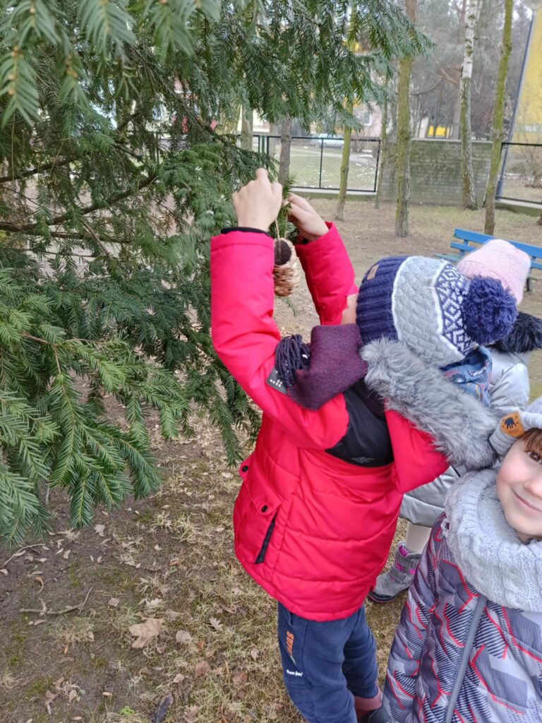 „Biedronki” poznają ptaki pozostające zimą w Polsce