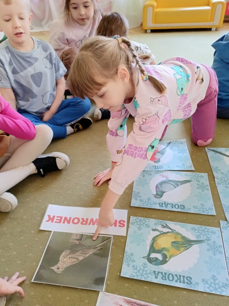 „Biedronki” poznają ptaki pozostające zimą w Polsce