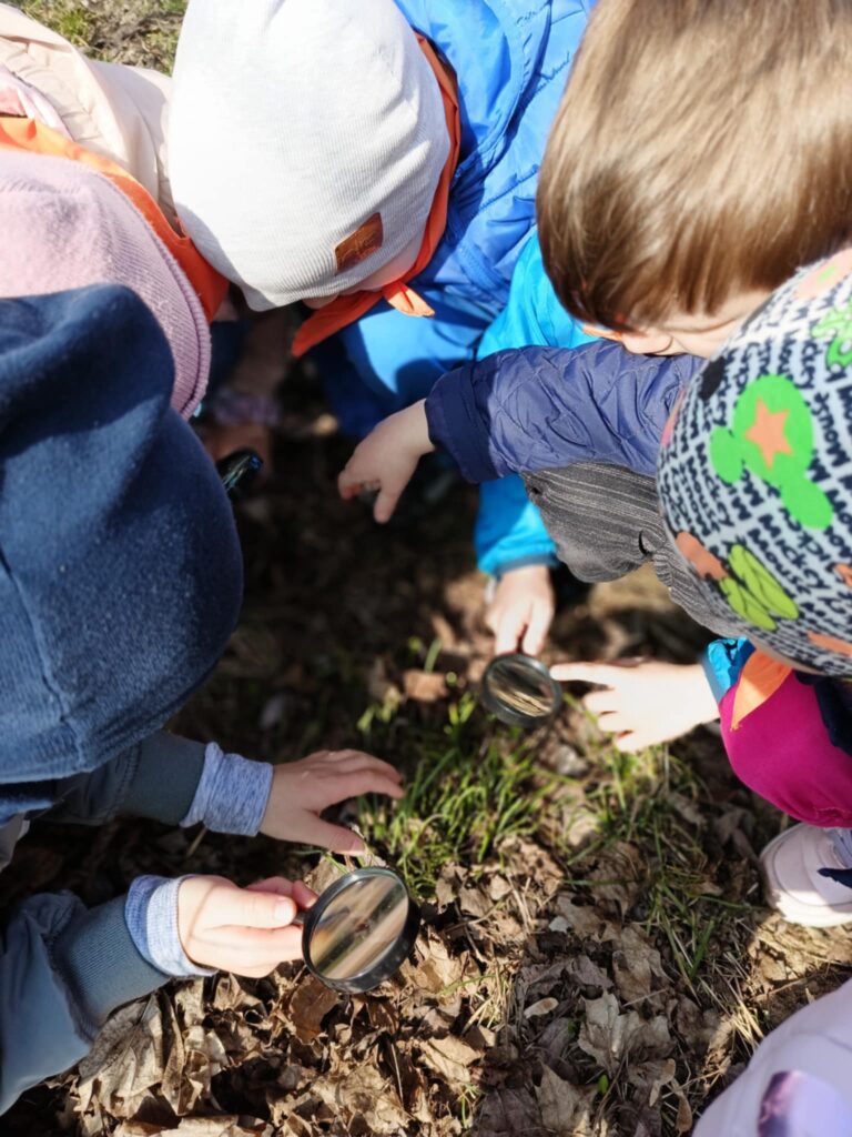 „Biedronki” na tropie wiosny