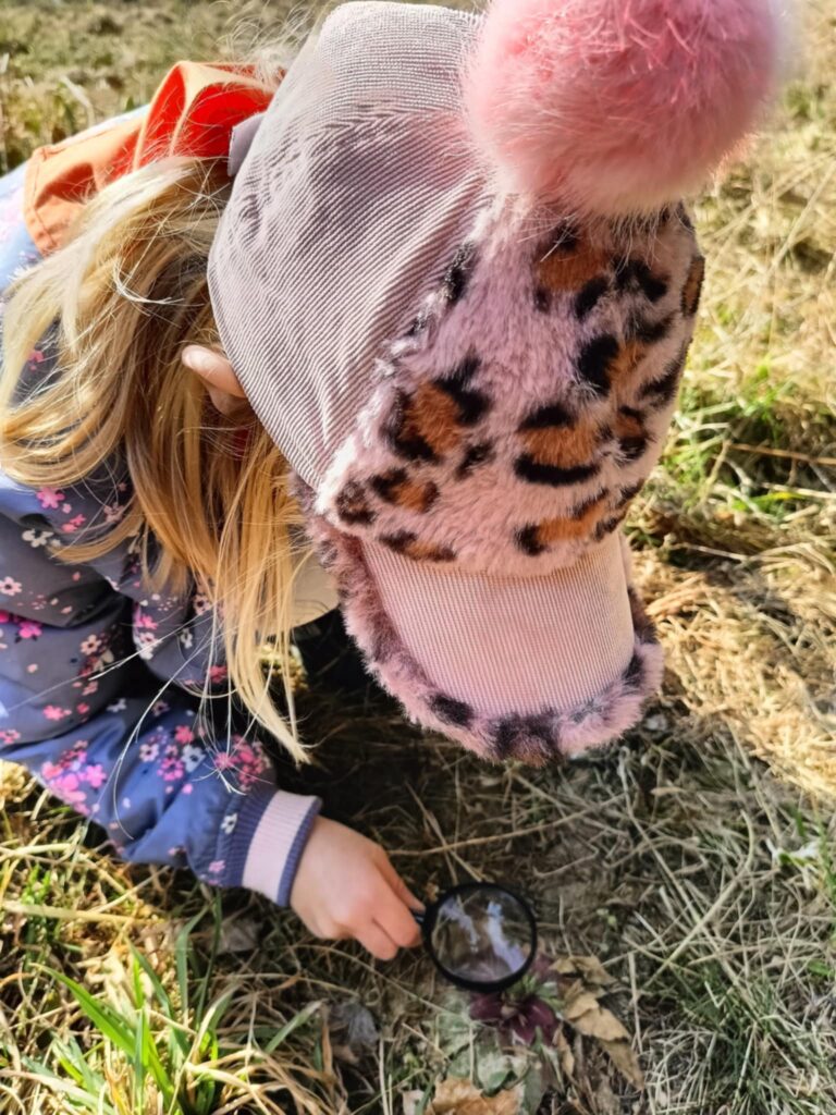 „Biedronki” na tropie wiosny