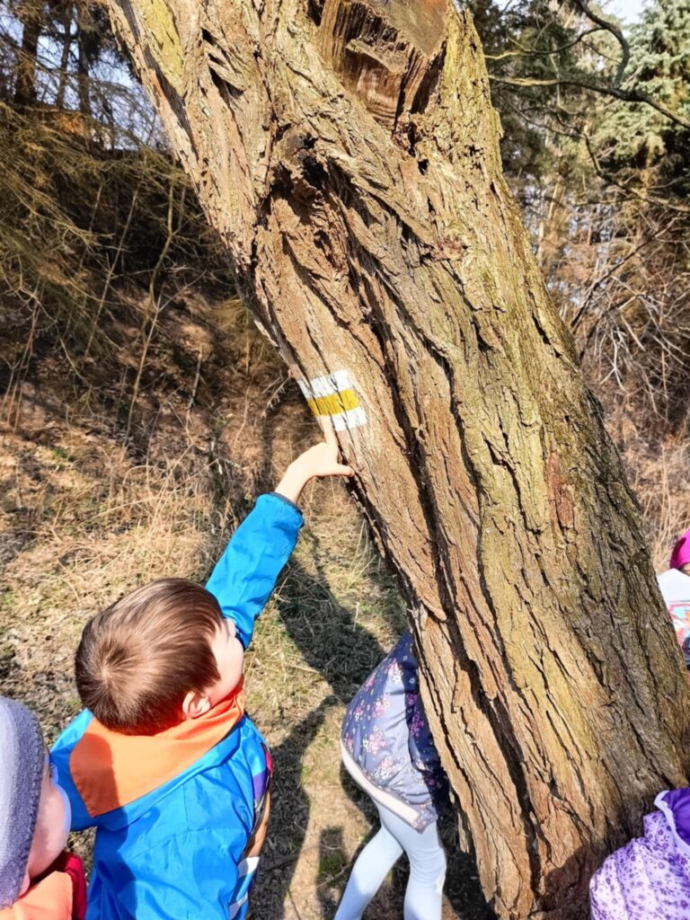 „Biedronki” na tropie wiosny