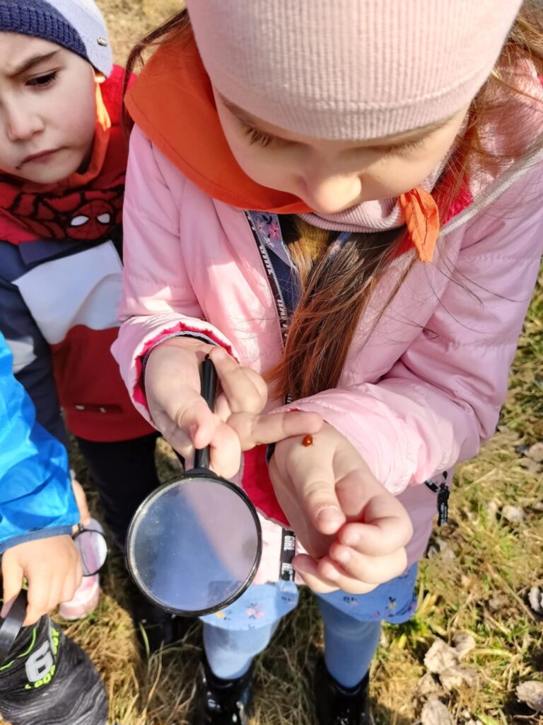 „Biedronki” na tropie wiosny