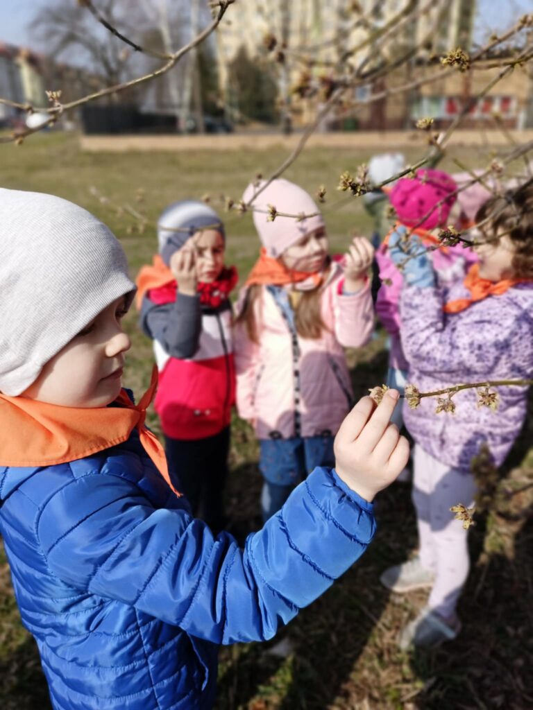 „Biedronki” na tropie wiosny