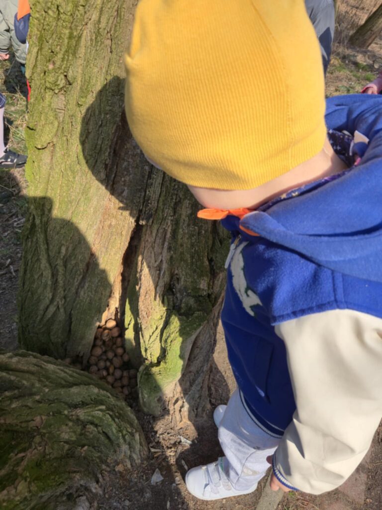 „Biedronki” na tropie wiosny