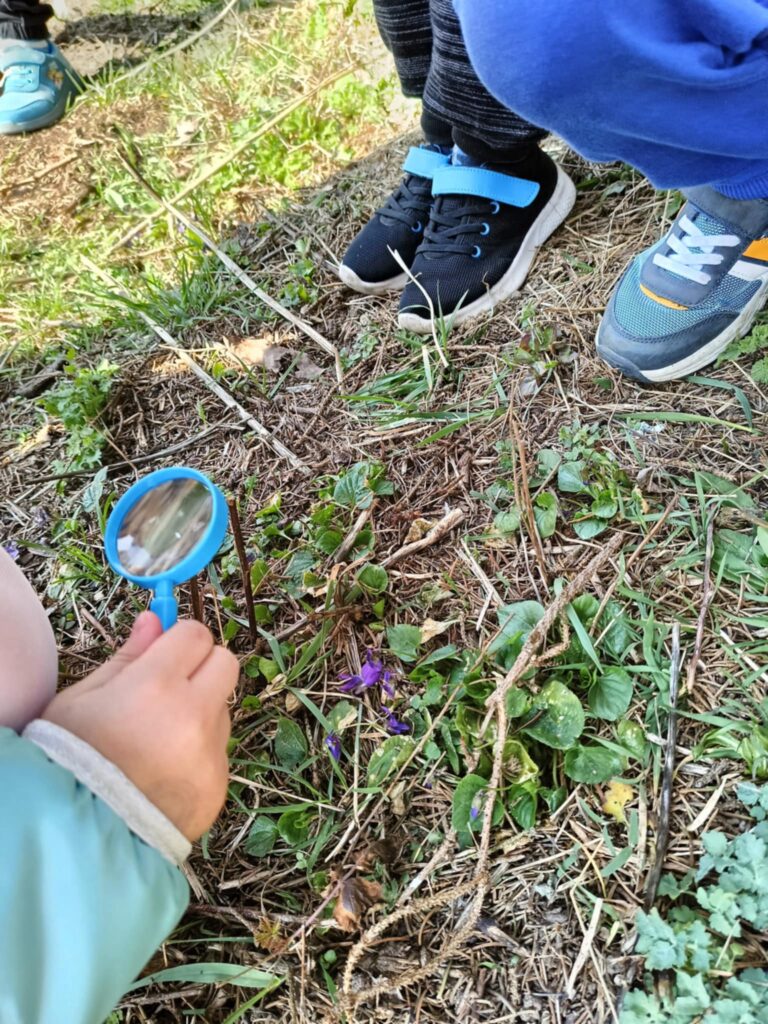 „Biedronki” na tropie wiosny