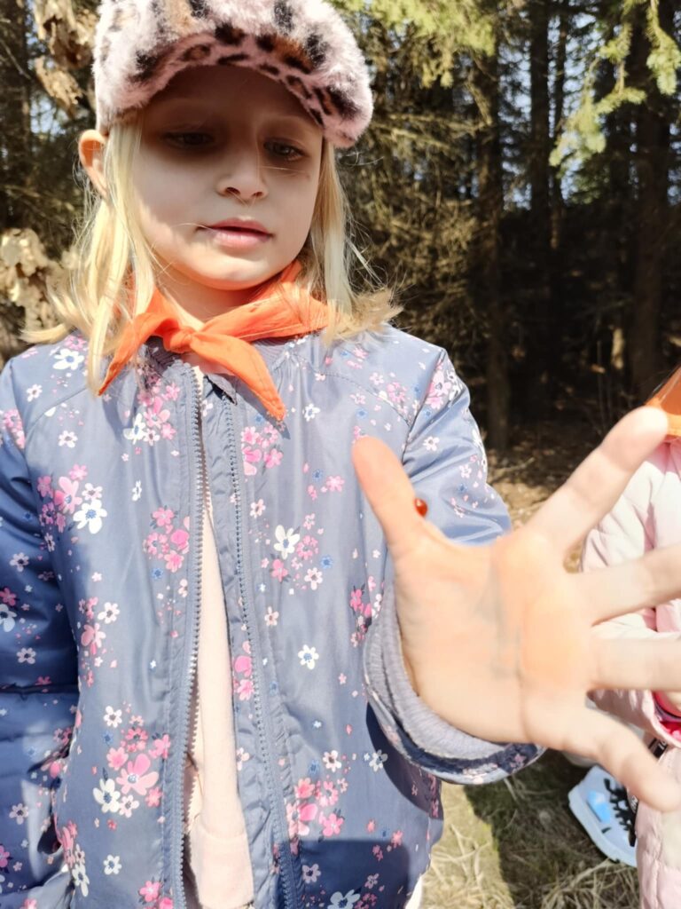 „Biedronki” na tropie wiosny