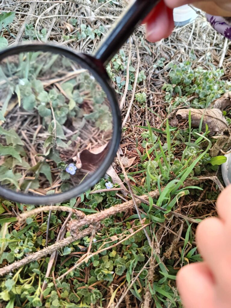 „Biedronki” na tropie wiosny