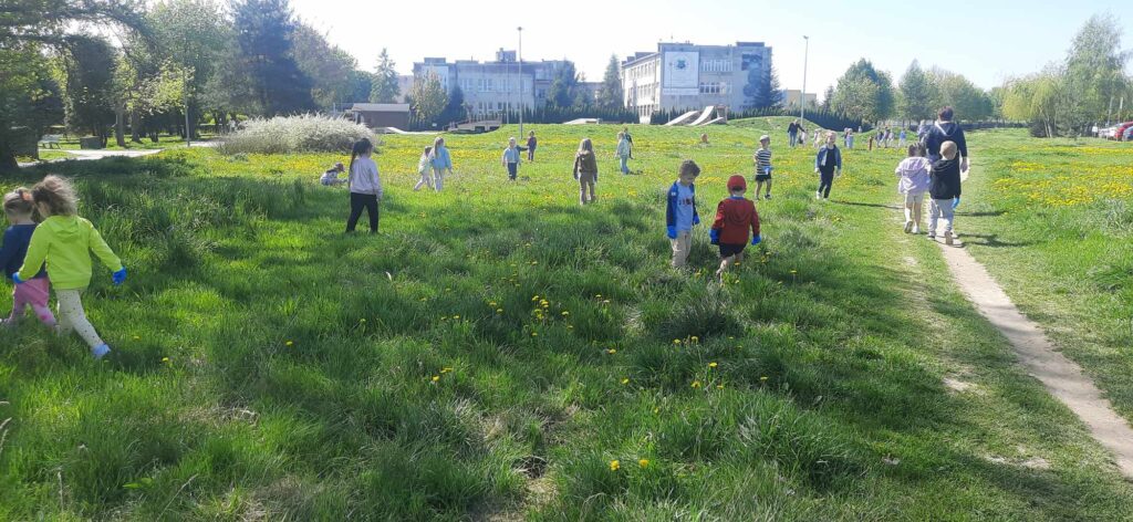 „Sprzątamy dla Polski”