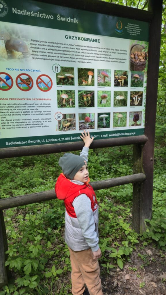 Leśna przygoda naszych „Biedronek”