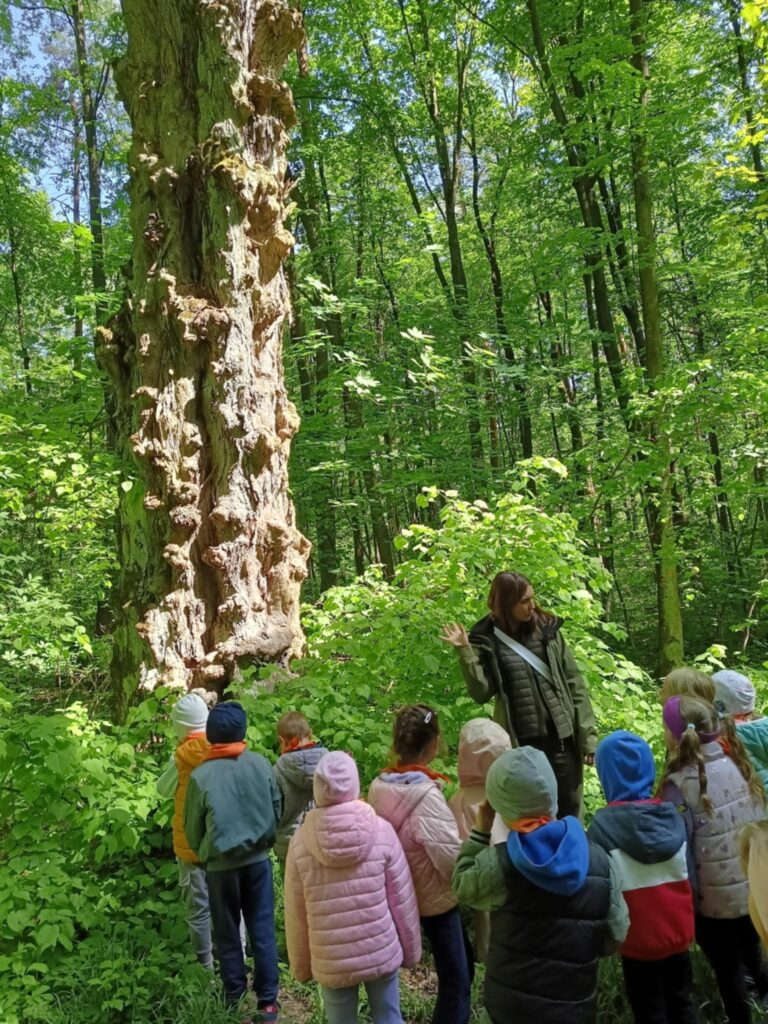 Leśna przygoda naszych „Biedronek”