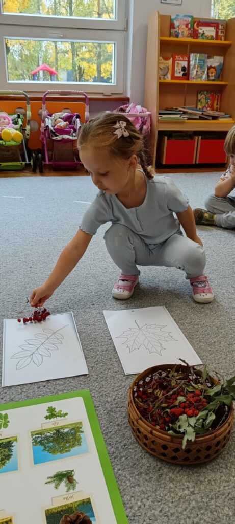 Dlaczego ważne jest zachowanie bioróżnorodności – „Słoneczka”