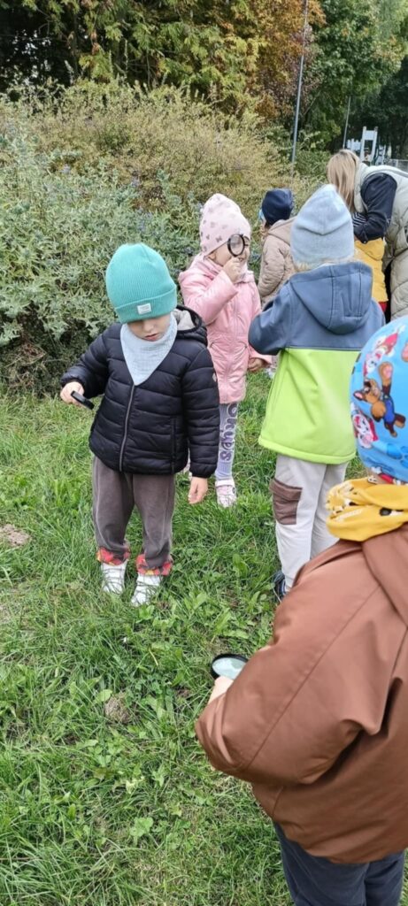 Dlaczego ważne jest zachowanie bioróżnorodności – „Słoneczka”