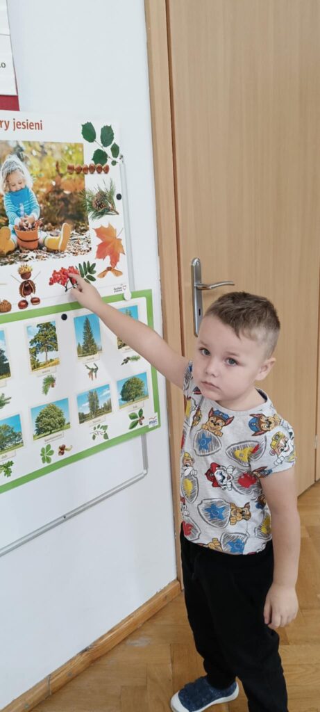 Dlaczego ważne jest zachowanie bioróżnorodności – „Słoneczka”