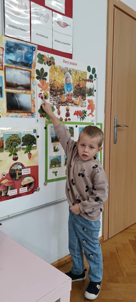 Dlaczego ważne jest zachowanie bioróżnorodności – „Słoneczka”