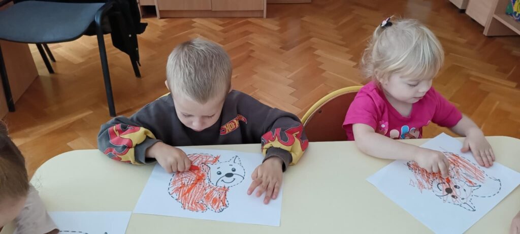 Dlaczego ważne jest zachowanie bioróżnorodności – „Słoneczka”