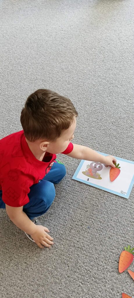 dzień marchewki słoneczka