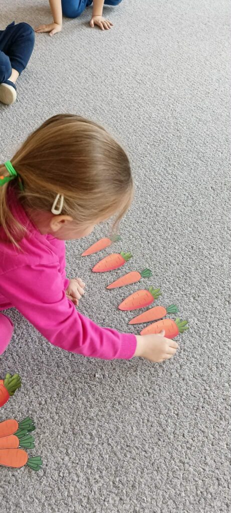 dzień marchewki słoneczka