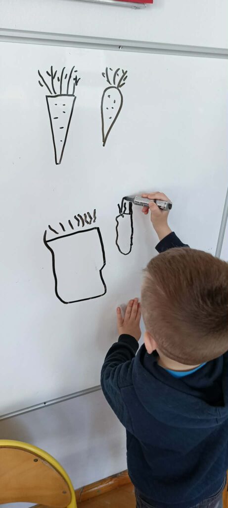 dzień marchewki słoneczka