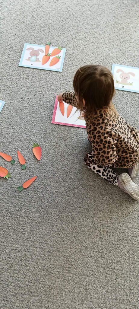 dzień marchewki słoneczka