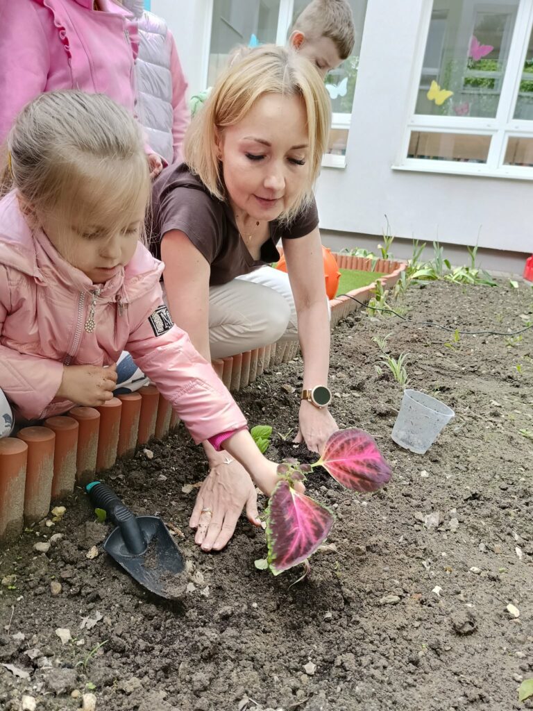 Czego rośliny potrzebują do życia? - Słoneczka