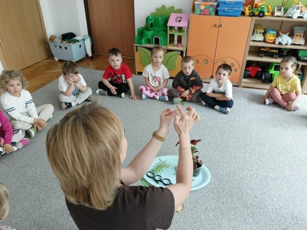 Czego rośliny potrzebują do życia? - Słoneczka