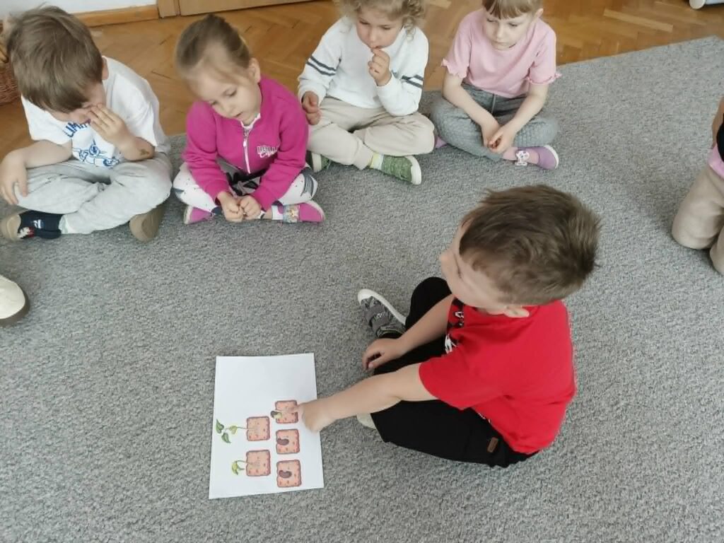 Czego rośliny potrzebują do życia? - Słoneczka