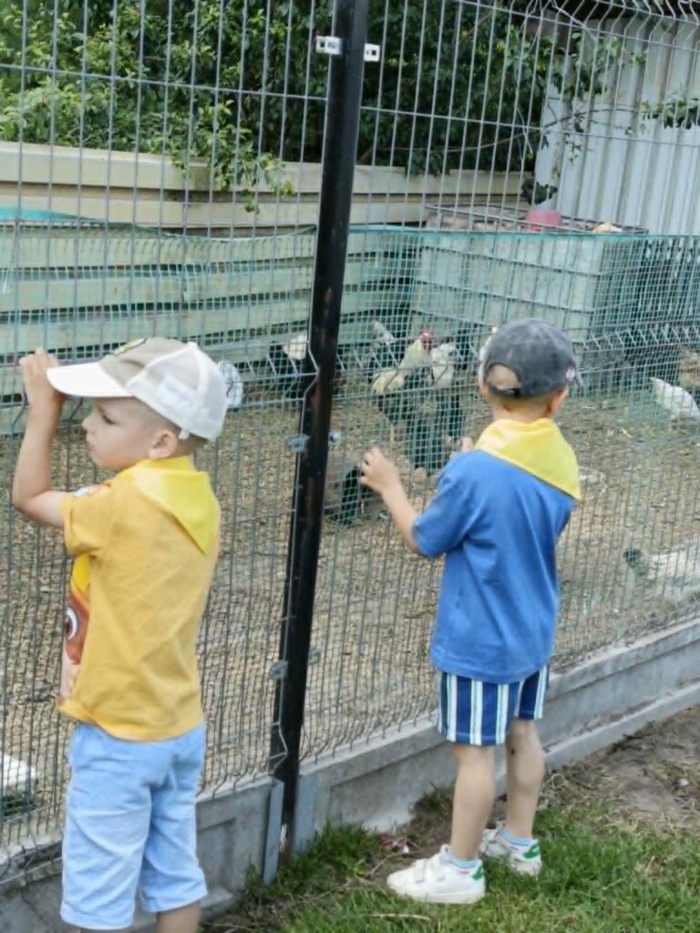 „Słoneczka” na wycieczce "Pod Kasztanem”