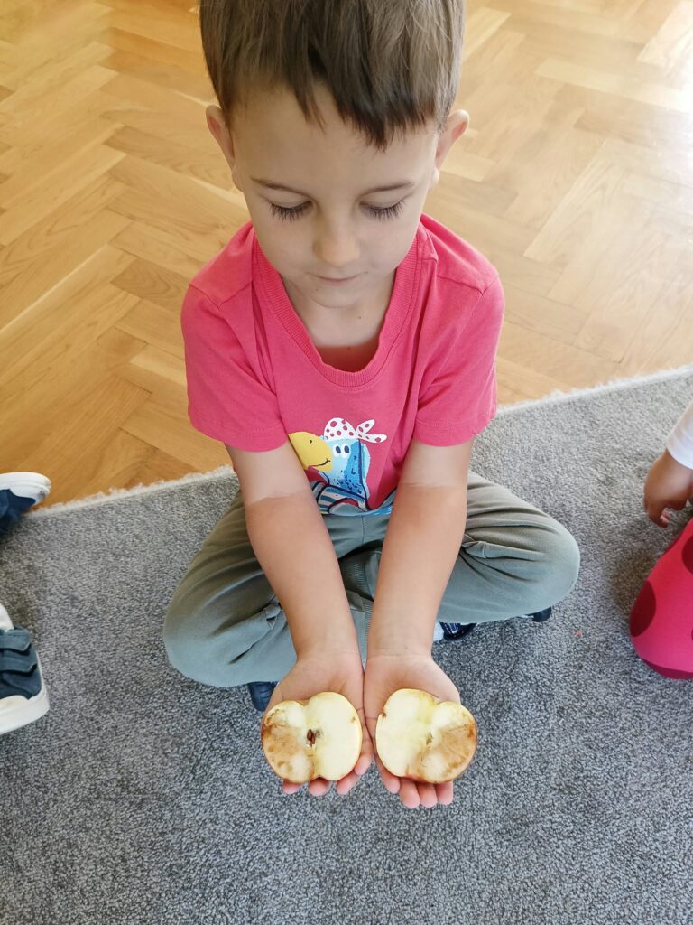 Dzień Jabłka Motylki