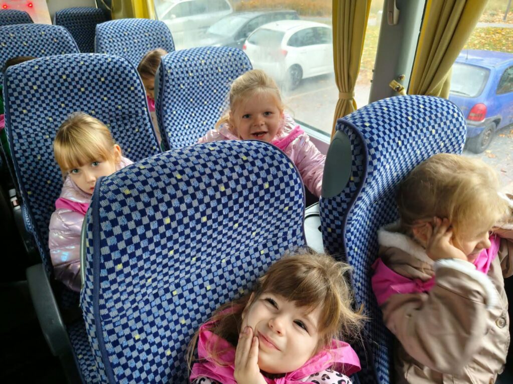 Kot w butach motylki i biedronki