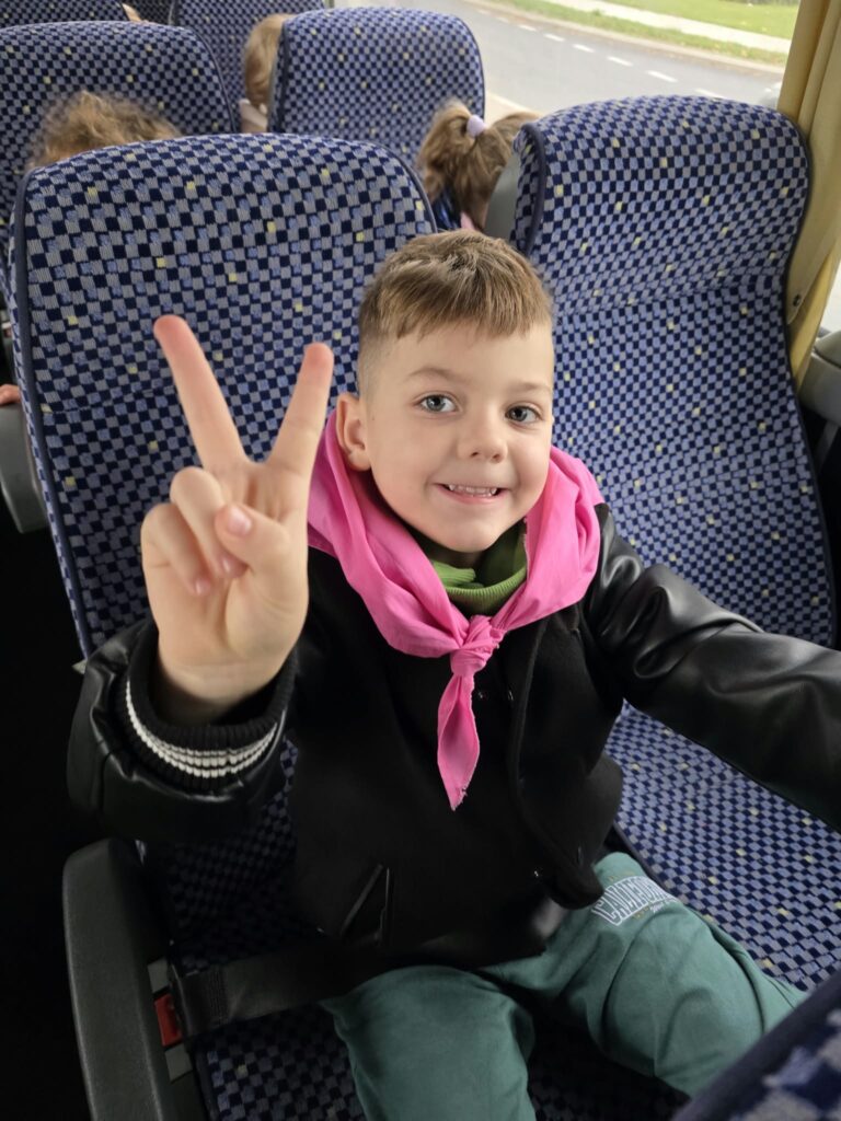 Kot w butach motylki i biedronki